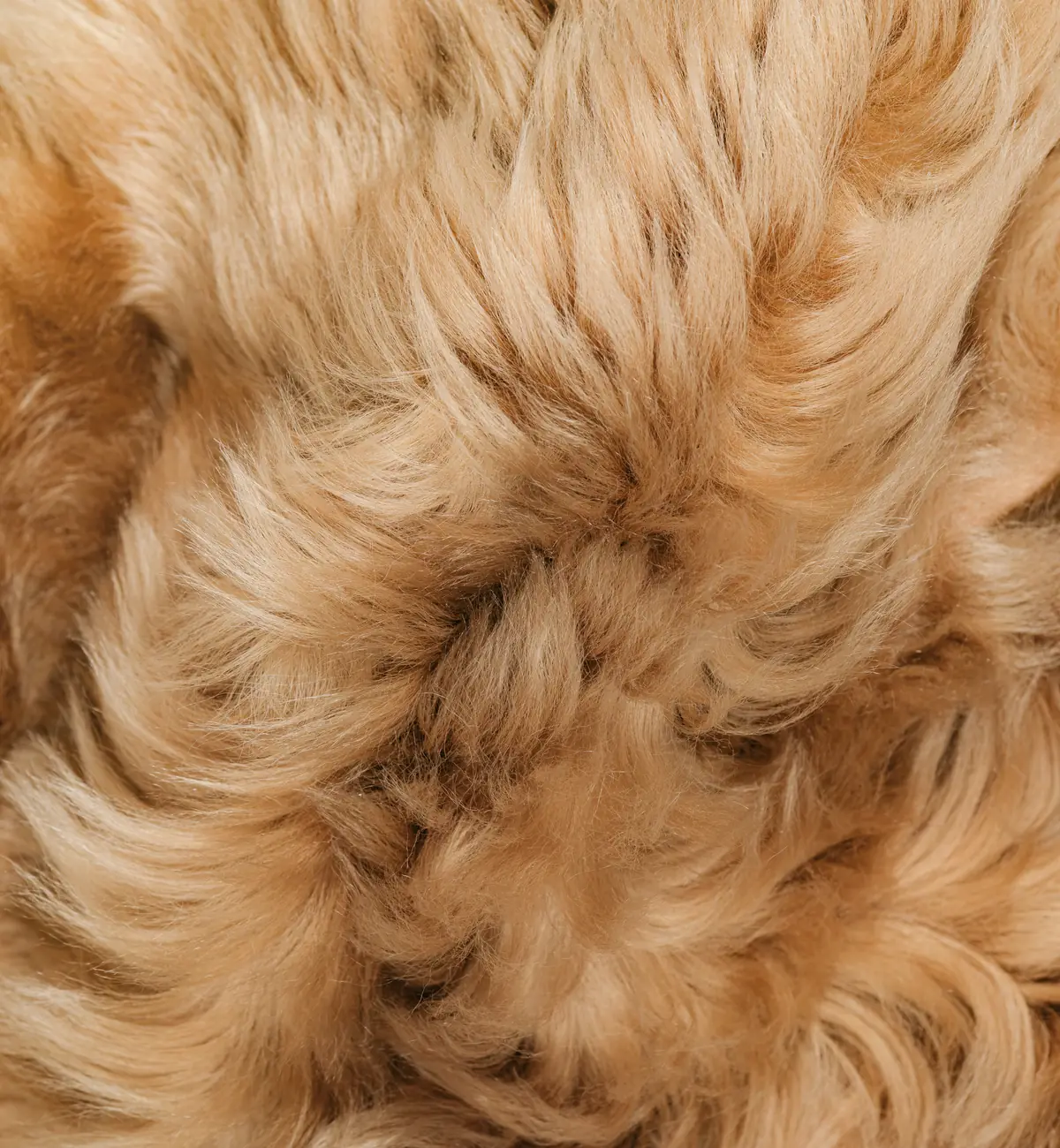 Suede on one side, fur on the other.