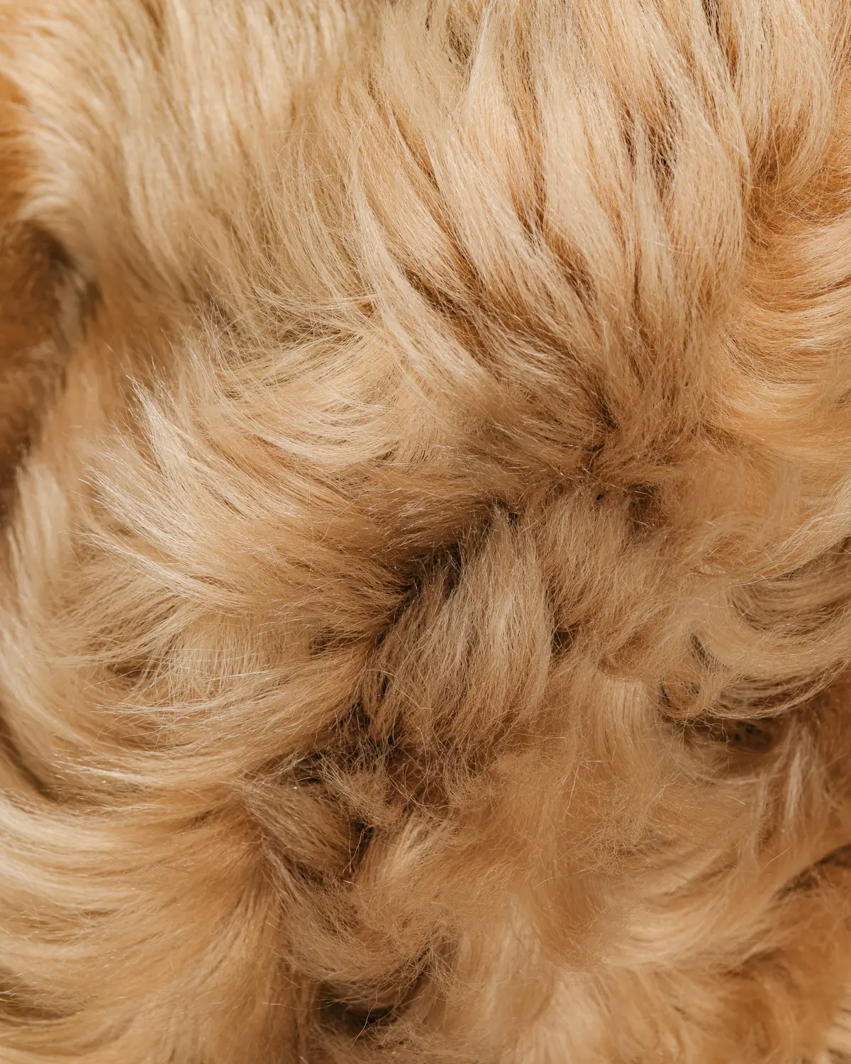 Shearling