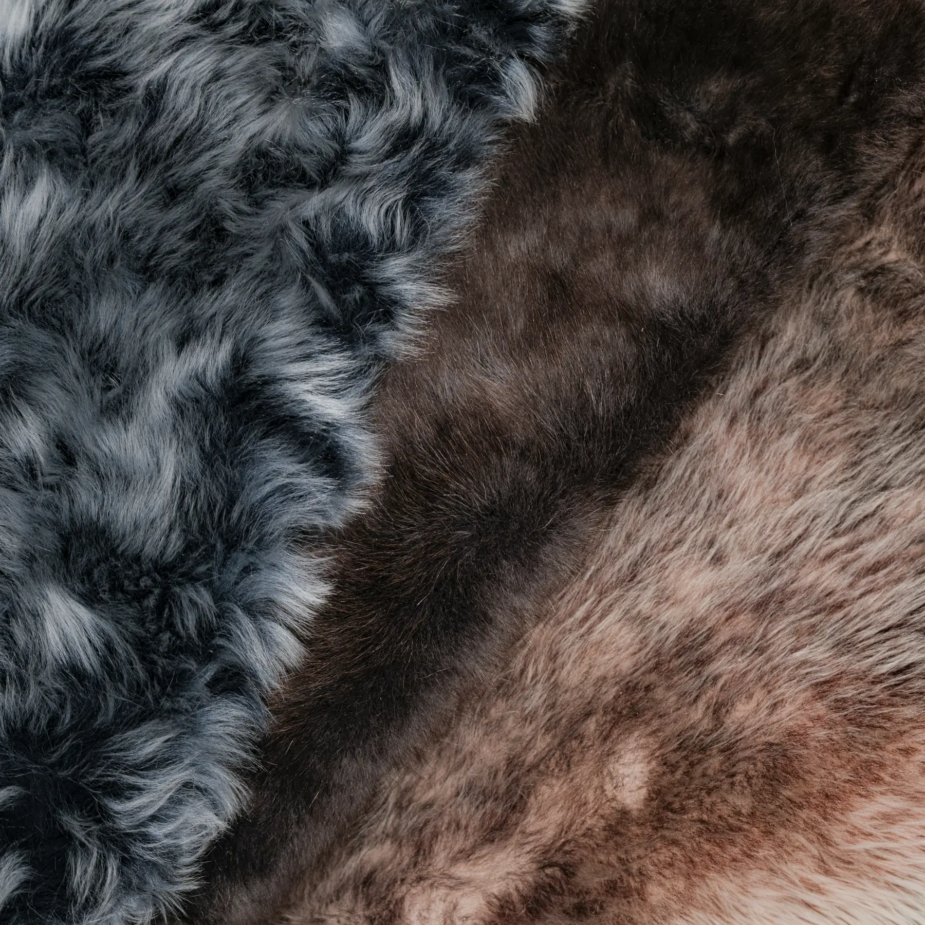 Shearling, C0000548